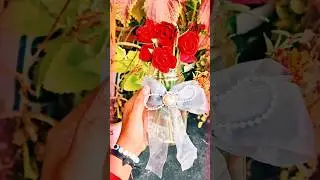 🌹Diy #shorts #shortvideo #viral #diy #beautiful #rose