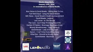 Elastic Glam Celebrates David Bowie 2027   video