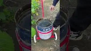 DIY wheeled bucket carrier makes garden watering effortless! Simple, smart, and saves your back  🪣�
