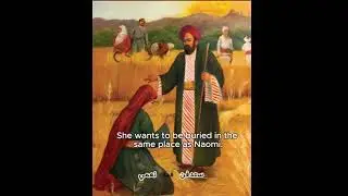 قصة حب بوعز وراعوث | الجزء الأوّل: نتيجة عدم الطاعة | The love story of Boaz and Ruth| Chapter #01