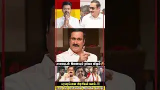 பாமகவுடன் இணையும் தவெக விஜய் | முழு நேர அரசியலில் இறங்கிய தளபதி | TVK Vijay | Annamalai