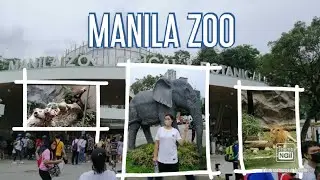 MANILA ZOO. libre daw. letZs gow #manilazooupdatetoday #manilazoo