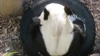寒空の下で散歩