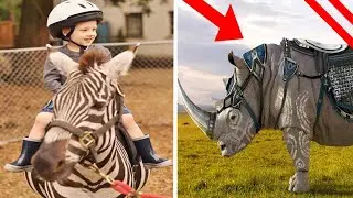 Animals We Failed To Domesticate -AI