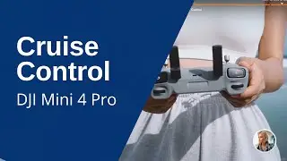 Cruise Control - Guide to the DJI Mini 4 Pro