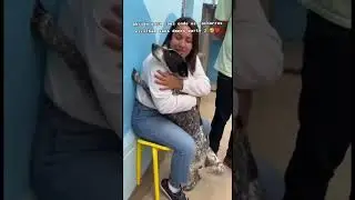 Abrigo de c&atilde;es onde os c&atilde;es escolhem os donos #petlover #petlovers #pet
