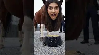 Human-Faced Horse Startles Police and Runs Away | Unreal Realistic Scene