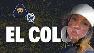 ❌ Amargo debut en CU | El color de Pumas vs Quer&eacute;taro | Clausura 2026