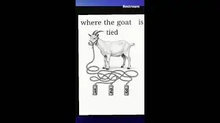 IQ test eye test 🧠 test