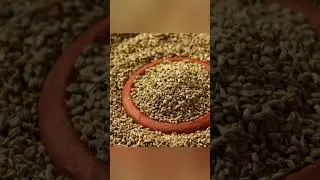 Omam With Garlic Tips
