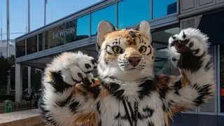 Anthrocon 2023, Day 1. Pittsburgh,  PA.