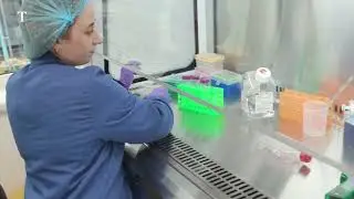 The Times | How our meat of the future could come from a lab