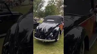 Treffen 2023 Hebmuller and tons of rare Volkswagen vehicles ! #vwbug #classicvolkswagen #germancar