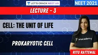 Phoenix 2.0: Biology Most Important Video for NEET 2025 | Udaan