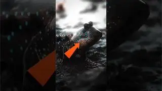 FISH WHICH CAN WALK ON LAND!🤯 #usa #facts #usashorts #animals