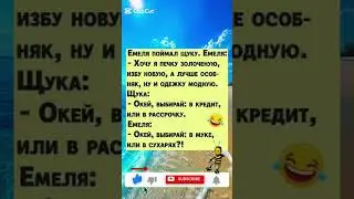 #юмор #шуточное #смехпродлеваетжизнь #смешновидео #анекдоты #смешнойшортс