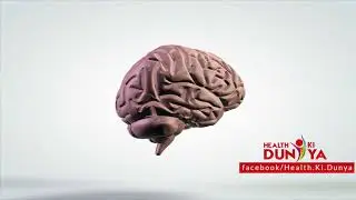 Zafran ki pehchan   Zafran ke faide in urdu   hindi   Health Ki Dunya