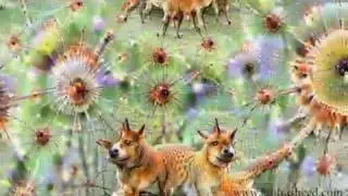 Art Creation using Artificial Neural Network