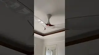 Crompton silent, pro🔥BLDC 🔥🥵BLDC India Numer 1 fans🔥👀#vairal_video #bldcfan ￼