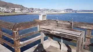 Oyster Point Marina, SF.  Sharks and halibut!