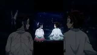 We will miss them ❤&zwj;🩹Song // Untitled (Instrumental) #mitsuri #shinobu #demonslayer @anime