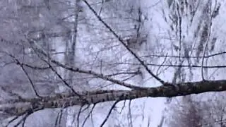 VID 20140424 201309
