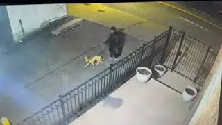 Humane Law Enforcement Video