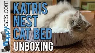 New! Cat Bed from KATRIS - Introducing the KATRIS Nest - Unboxing