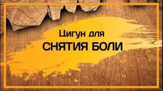 Комплекс ЦИГУН Ли Холден 5 для снятия стреса, боли, напряжения