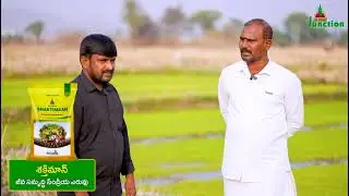 ZUARI FARMHUB Ltd వారి shakthimaan వరి పట్టాలో దాని యొక్క ప్రయోజనంలు