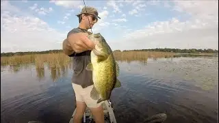 early fall thick marsh frog fishing