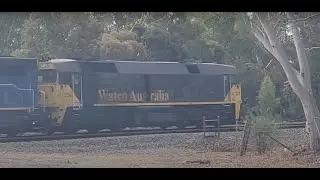 Watco Australia Rail First Minara Resources #trainspotting #railfanning #trainspotter #railfans #car