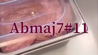 The Salami Lid - In D Major
