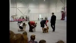 MOV09632