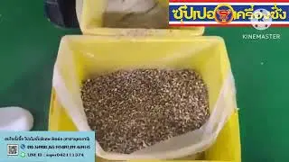 Techik Walnut Optical Color Sorter and Food X ray Inspection Machine for Bulk Product
