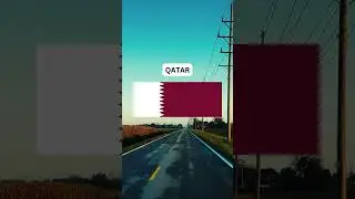 What is the Most Common Car in QATAR #qatar #cars #country #common #pickup #driving #racing #toyota