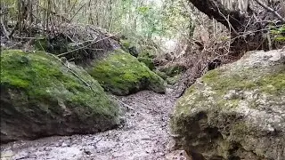 #exploraci&oacute;n #natural 🏞️🌿🍁