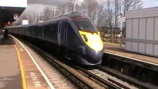 395022 Leaves Rochester