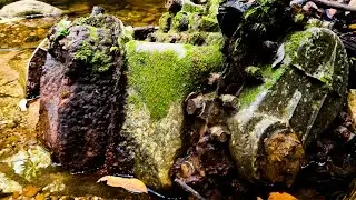 Creek Blocked By Car!  Waterfalls and Unclogging