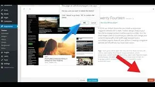 How to delete wordpress other default theme