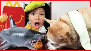 Feeding My Pet Dog and Shark McDonald's! Food Challenge With My Pet Dog!