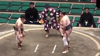 速報❗️二子山部屋 高原 vs 流馬【大相撲令和8年1月場所】11日目 初場所 Futagoyama TAKAHARA vs RYUMA [JAN 2026 DAY11] 2026/1/21