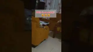 This CAT creeps me out | SHORTS #cat #scarycats #shorts  #pets #petslife #catslife