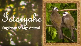 Istoryahe: Sugilanon Sa Mga Animals | Yeah, Right... | Urban Wilde CDO