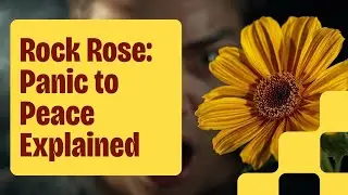 Rock Rose &ndash; Extreme Fear & Panic | Bach Flower Remedy Explained