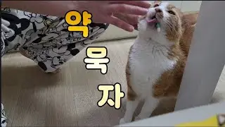 26년 첫 영상