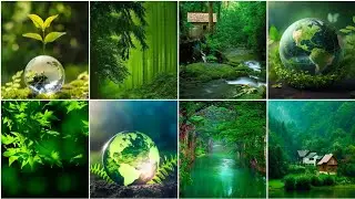 Unique Green World dp photo | Green world Hd Wallpaper |Nature dp images|Green Nature dpz/pics/photo