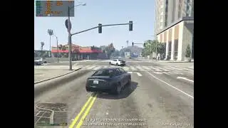 w4100 VS GTA V