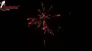SILVESTERSORTIMENT 2020 Funke Blinkcracker Weiden