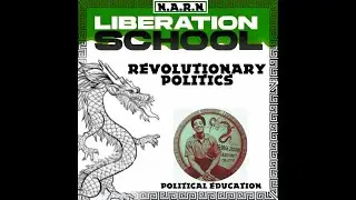 Revolutionary Politics